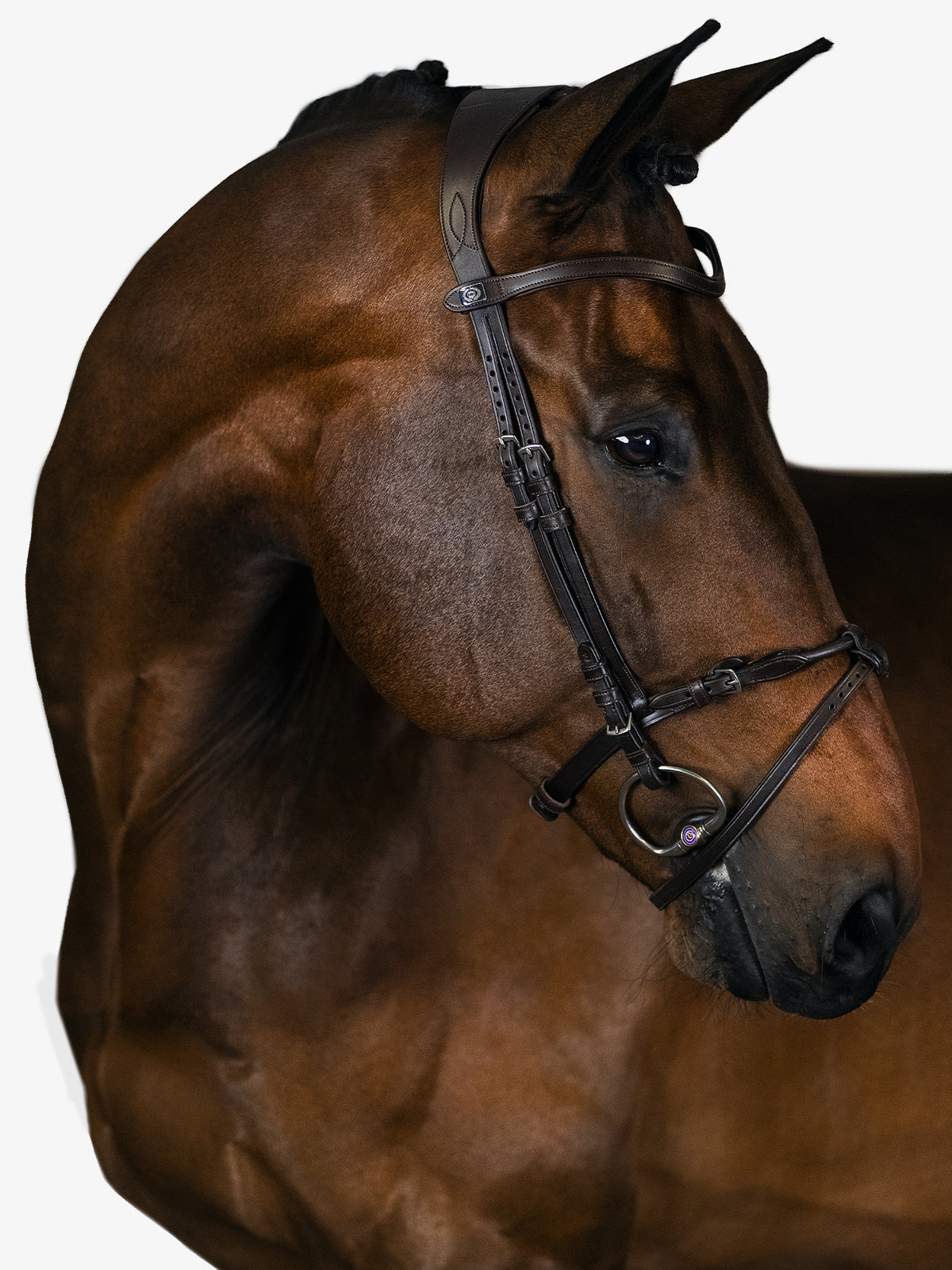 Bridle, Mary Lou By Henrik Von Eckermann Brown Leather