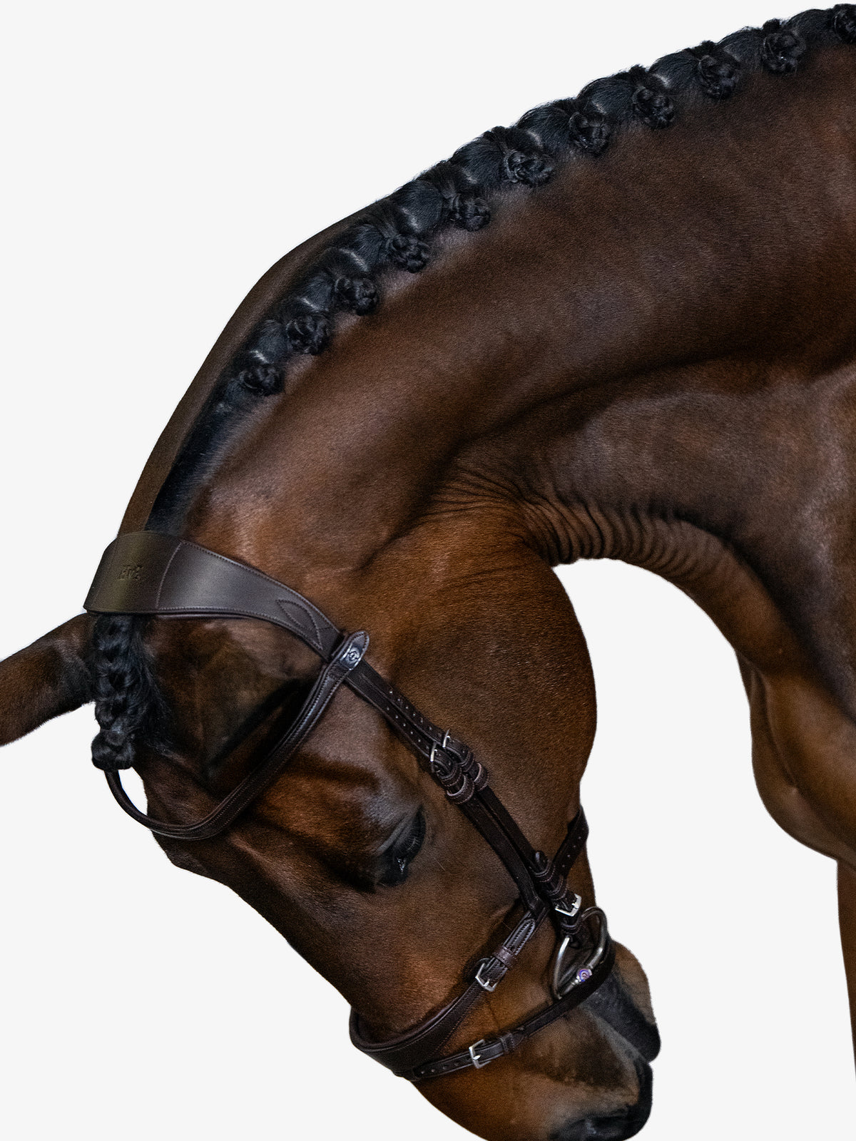 Bridle, Mary Lou By Henrik Von Eckermann Brown Leather