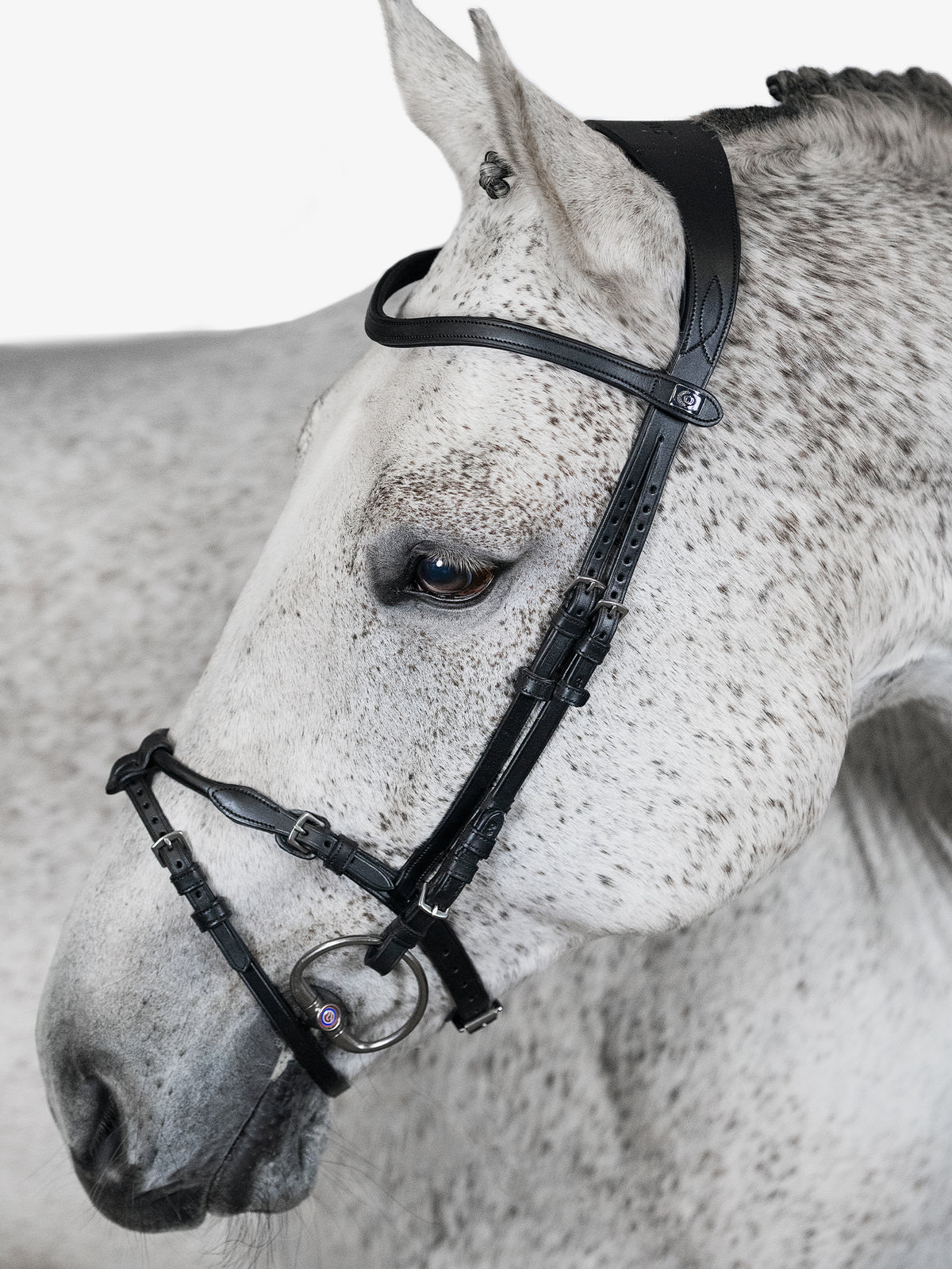 Bridle, Mary Lou By Henrik Von Eckermann Black Leather