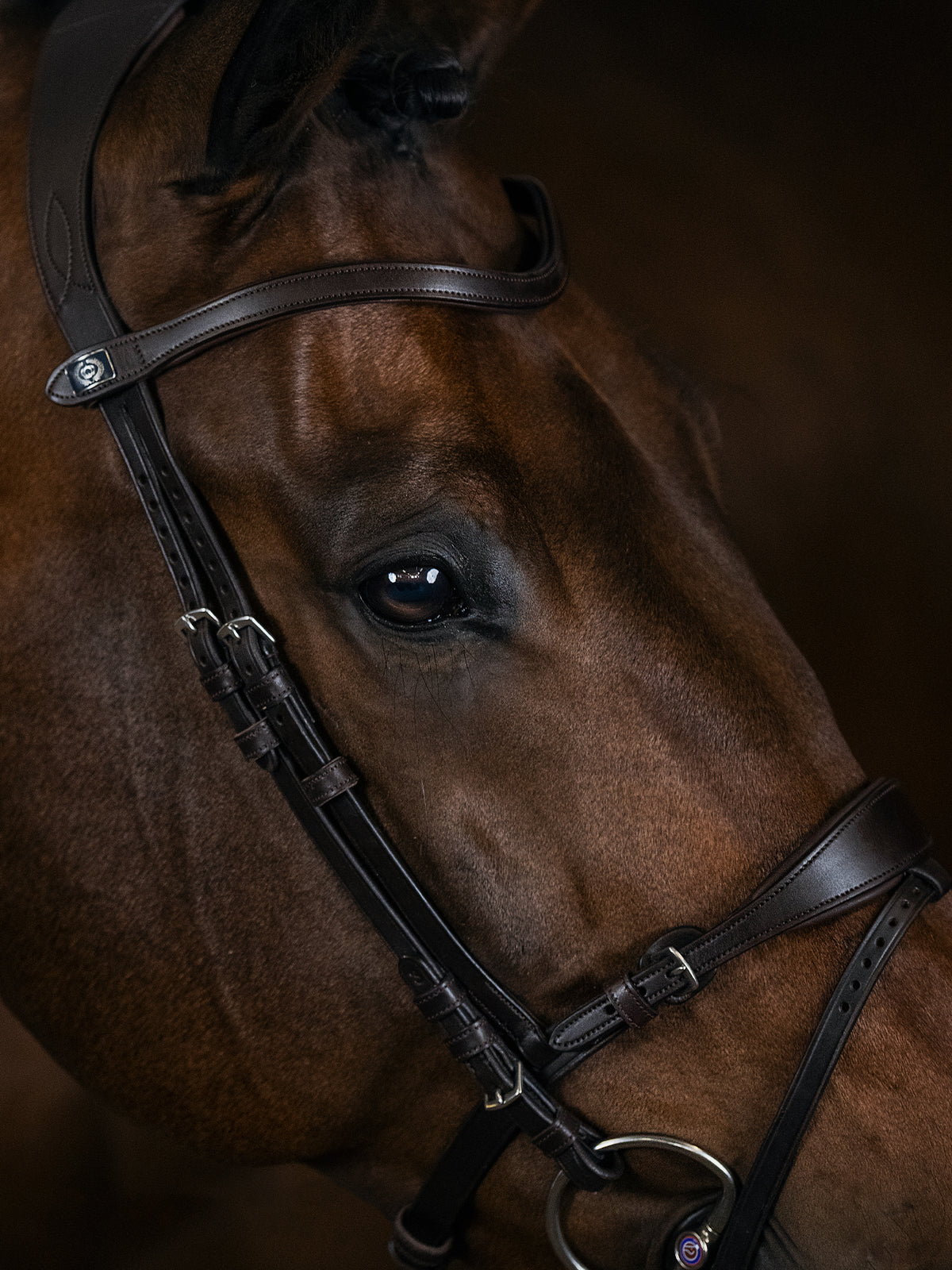 Bridle, Mary Lou By Henrik Von Eckermann Brown Leather