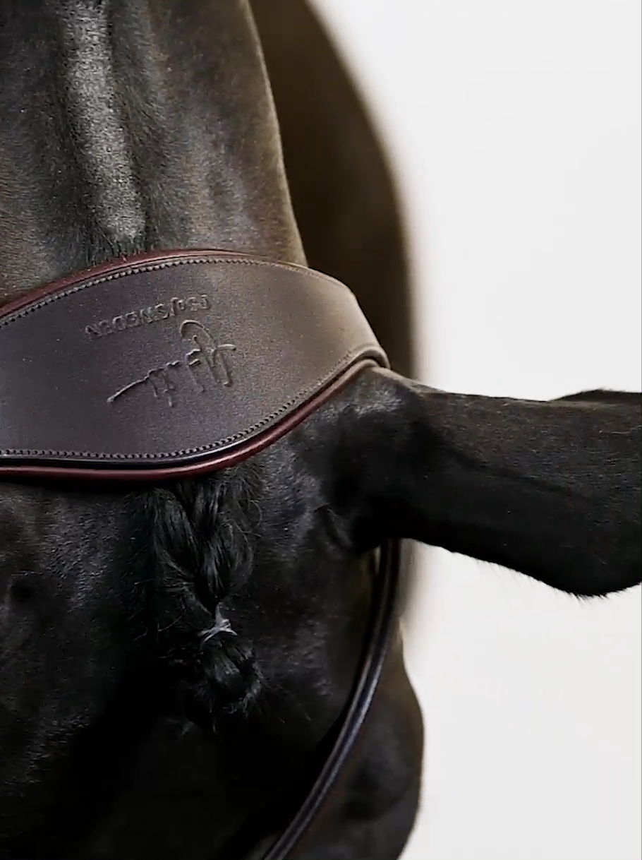 Bridle, Mary Lou By Henrik Von Eckermann Brown Leather