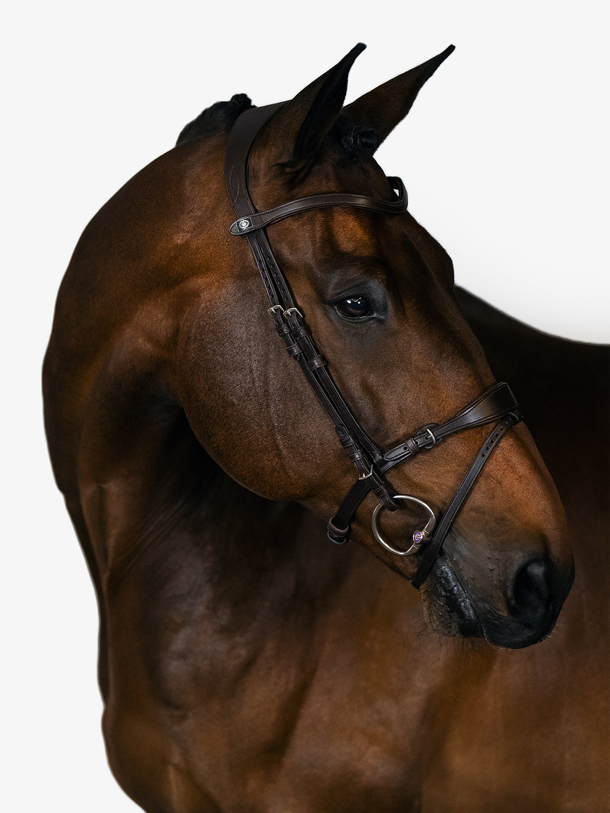 Bridle, Mary Lou By Henrik Von Eckermann Brown Leather