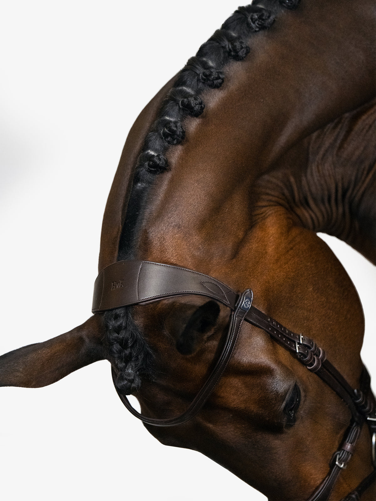 Bridle, Mary Lou By Henrik Von Eckermann Brown Leather