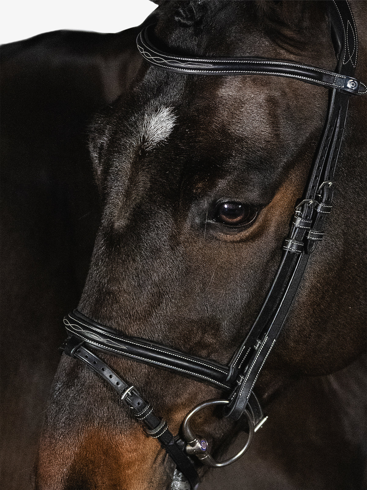 Bridle Stockholm Black Leather