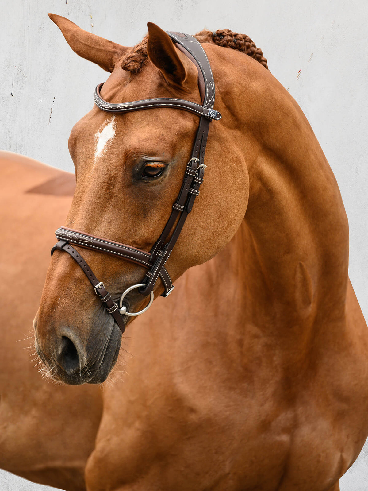 Bridle Stockholm Brown Leather
