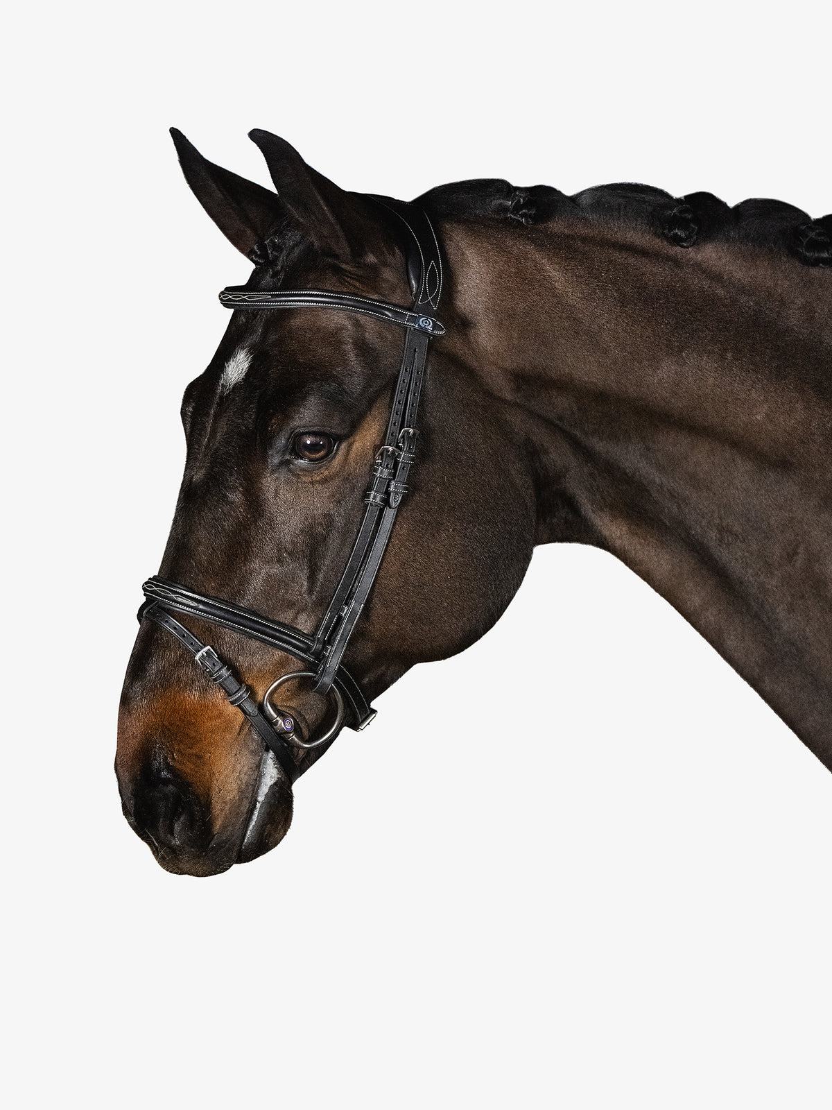 Bridle Stockholm Black Leather