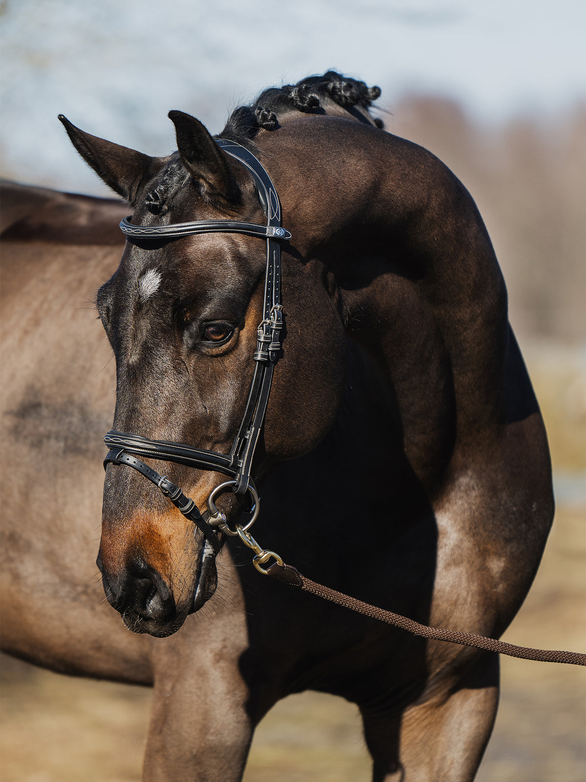 Bridle Stockholm Black Leather