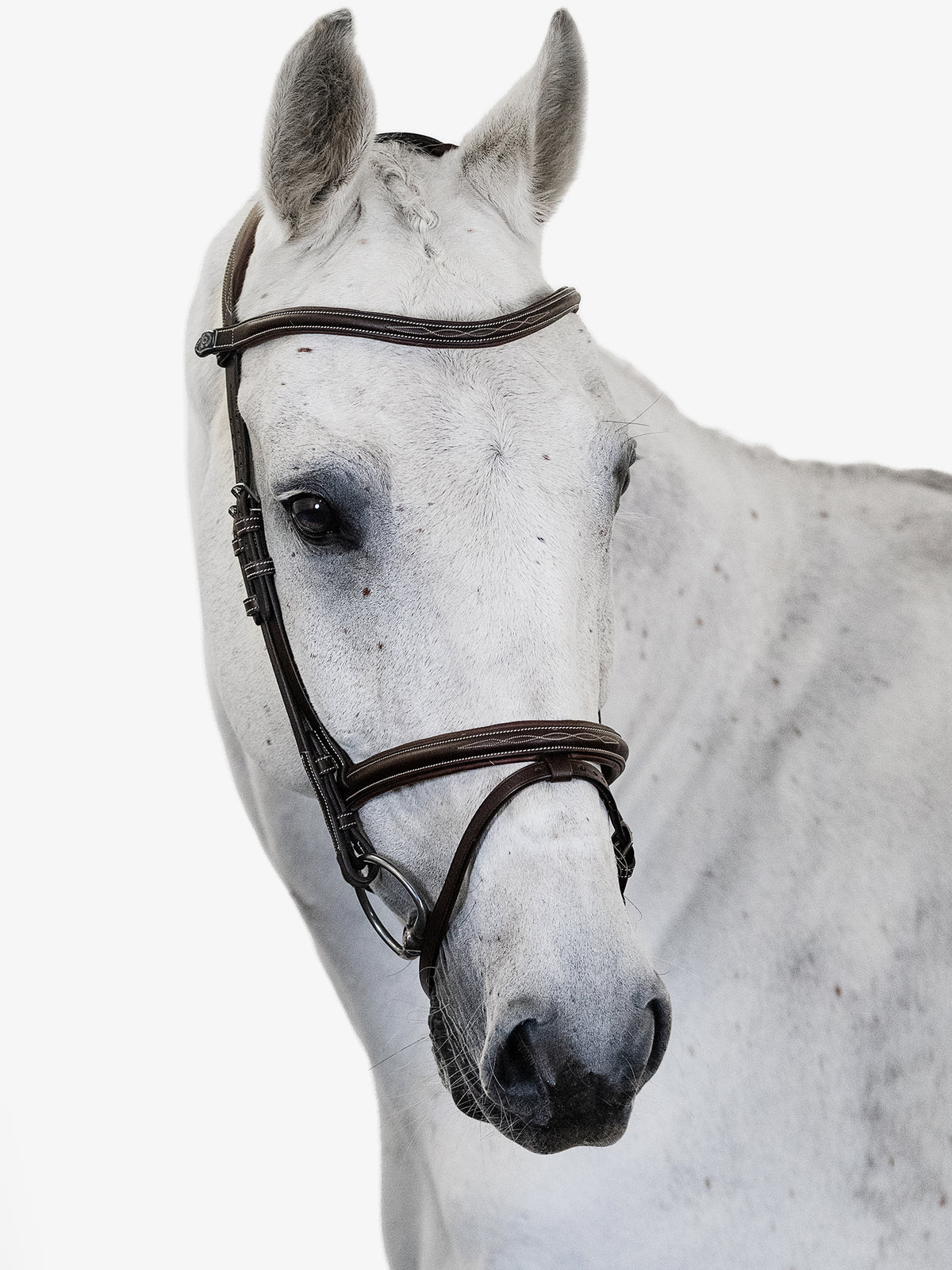 Bridle Stockholm - Brown Leather