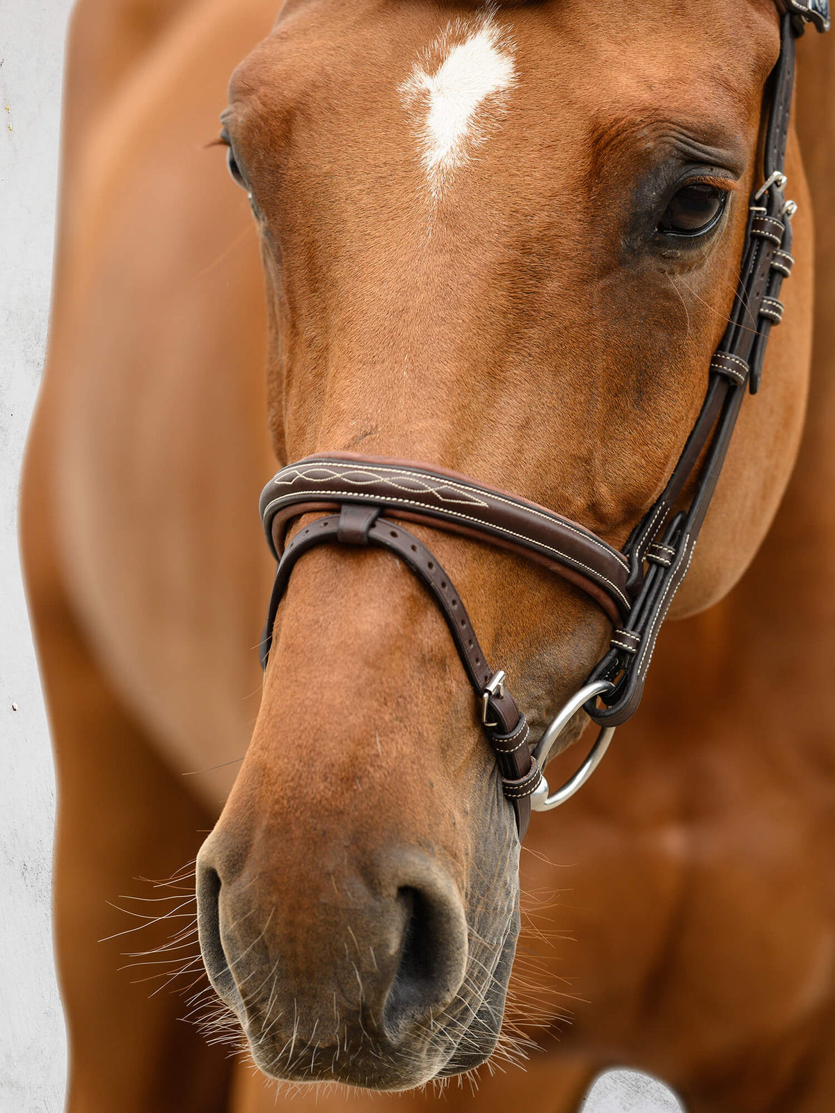 Bridle Stockholm Brown Leather