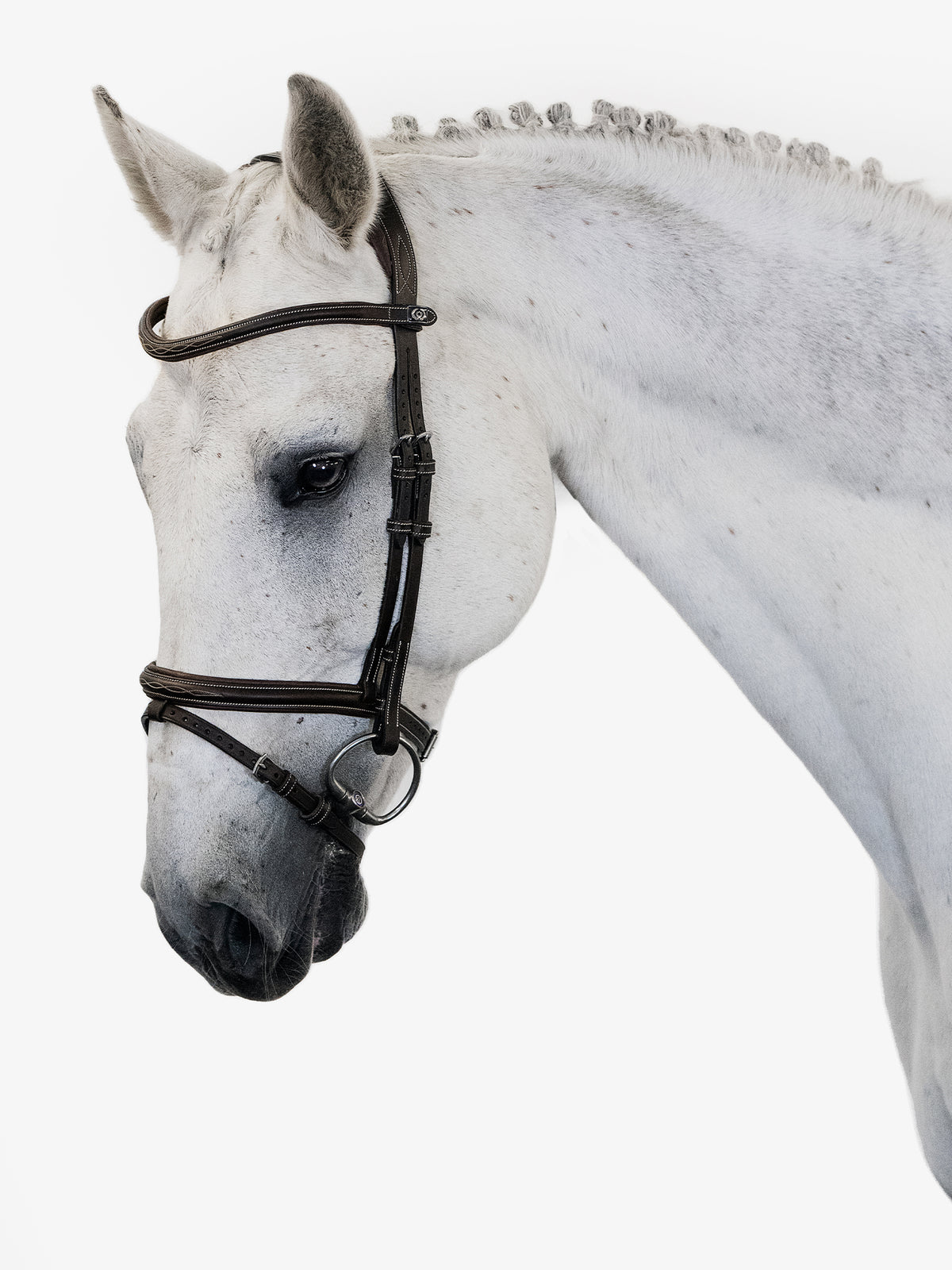 Bridle Stockholm - Brown Leather