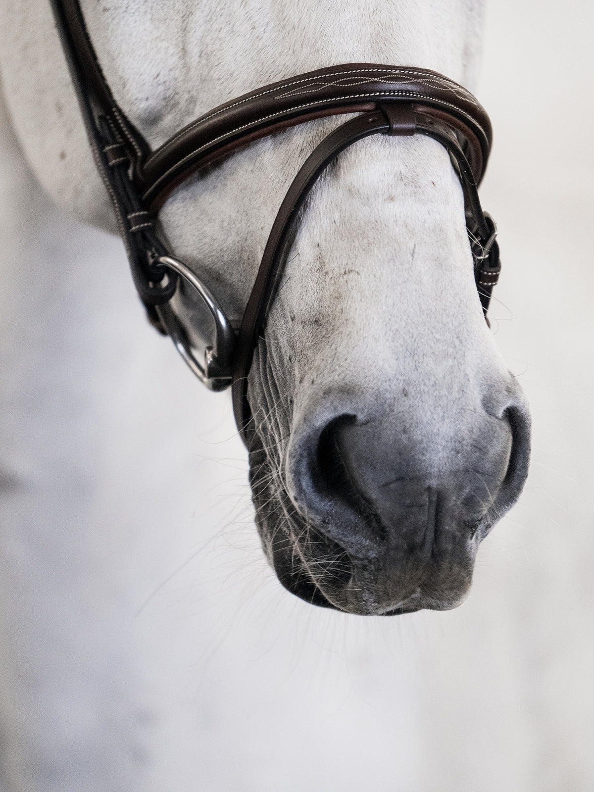 Bridle Stockholm - Brown Leather