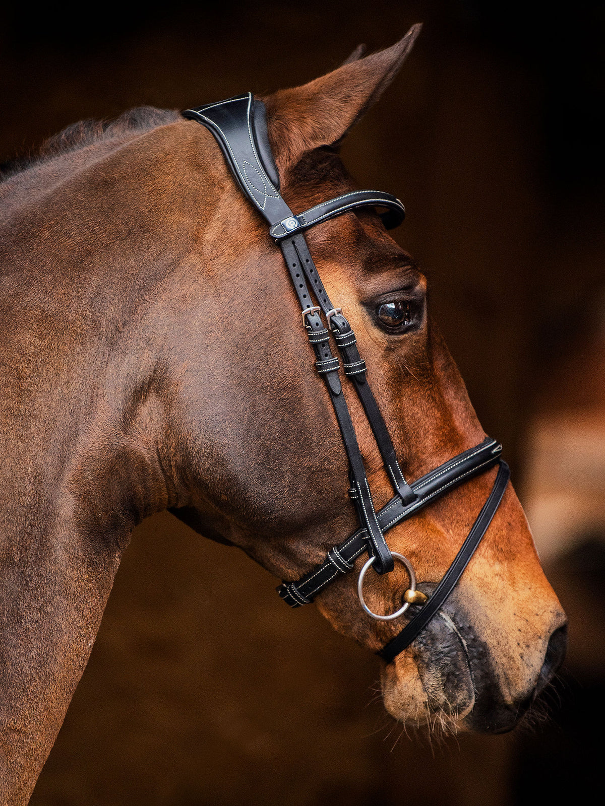 Bridle Stockholm Black Leather