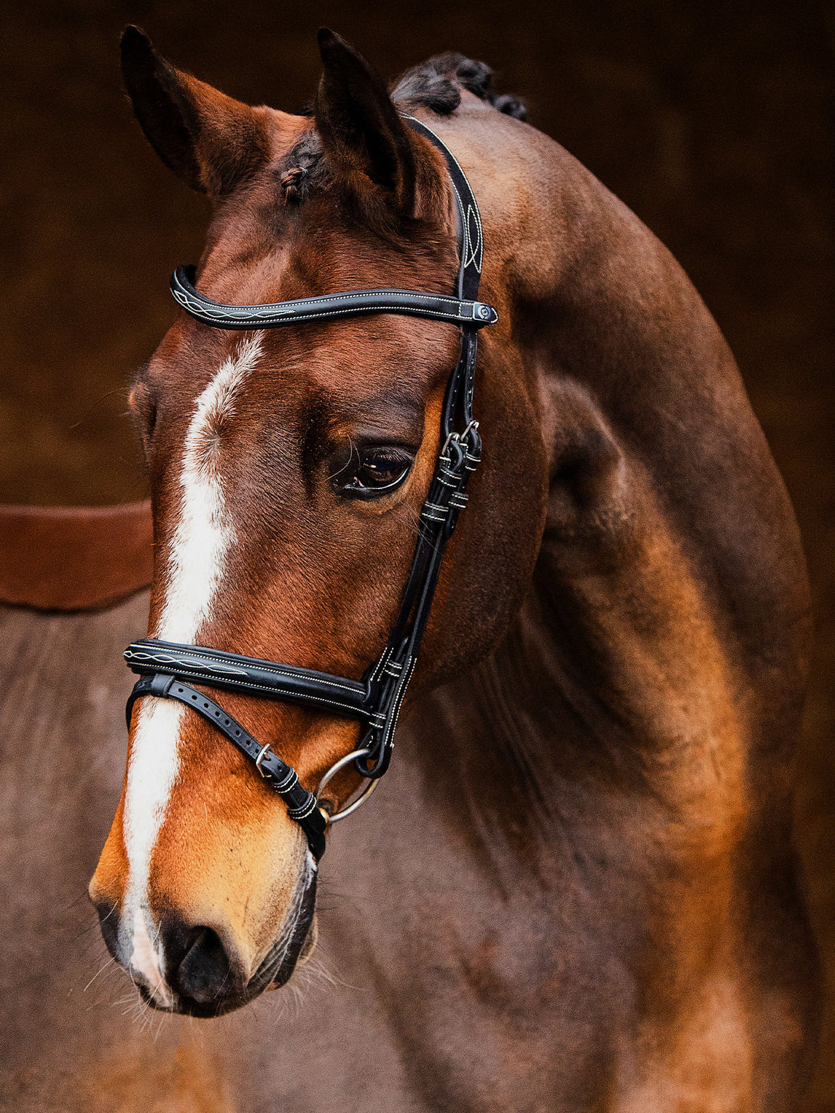 Bridle Stockholm Black Leather