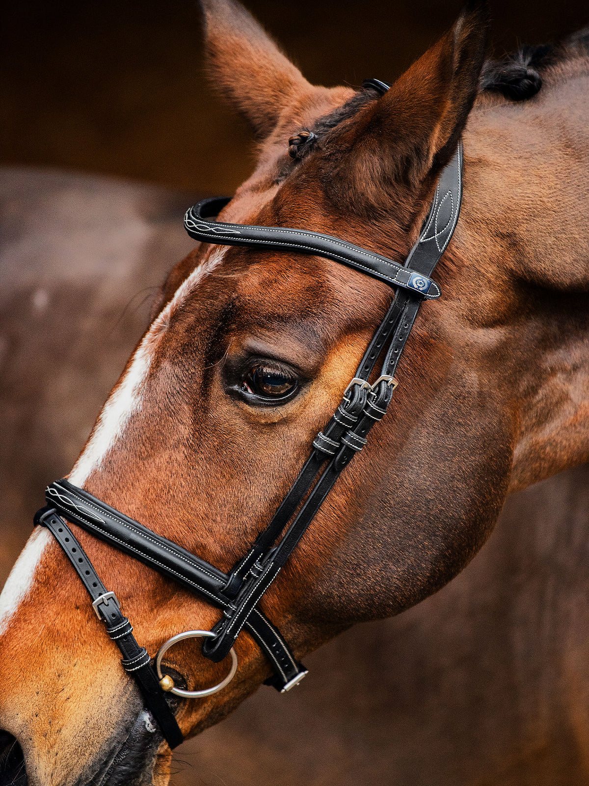 Bridle Stockholm Black Leather