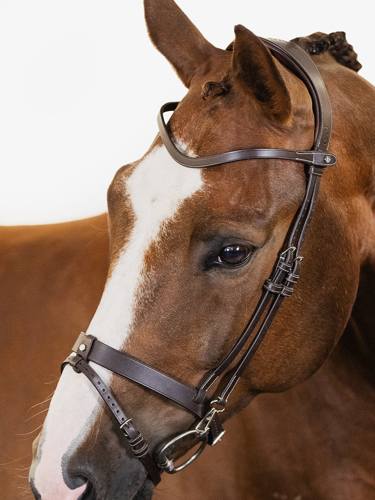 Bridle London Brown Leather