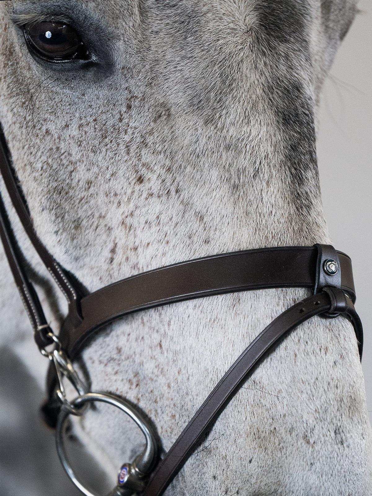 Bridle London Brown Leather