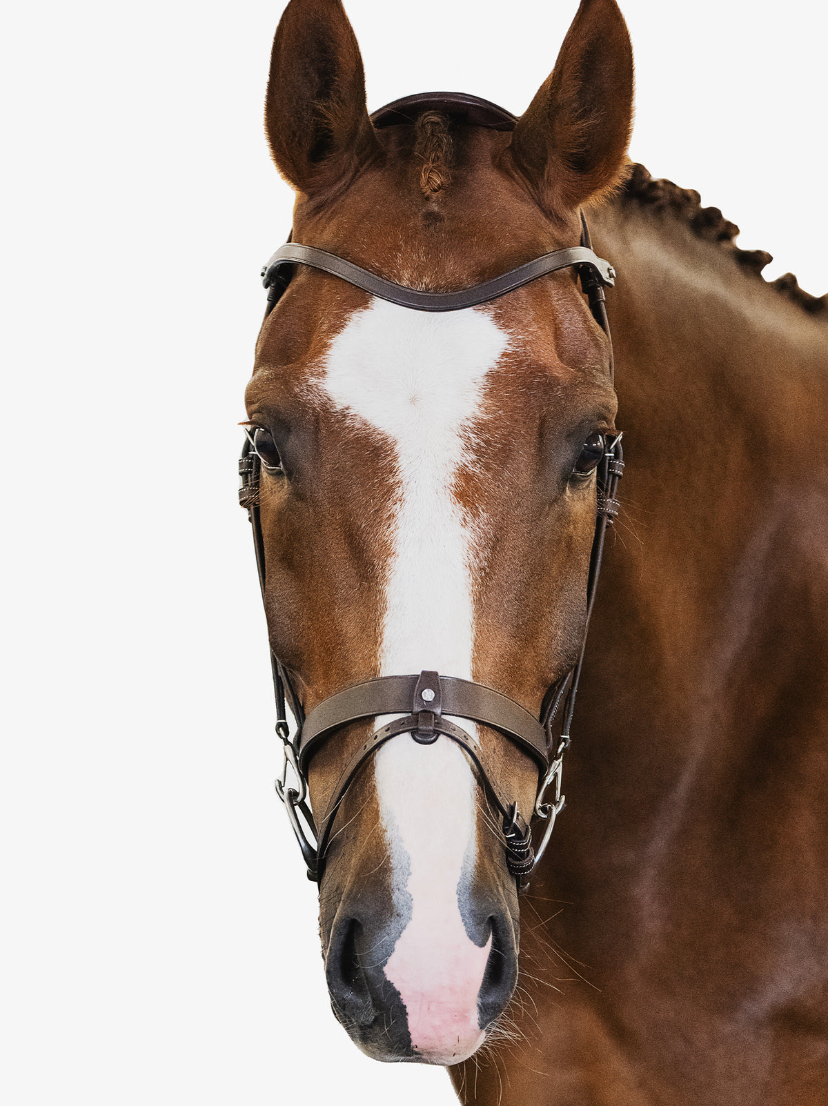 Bridle London Brown Leather
