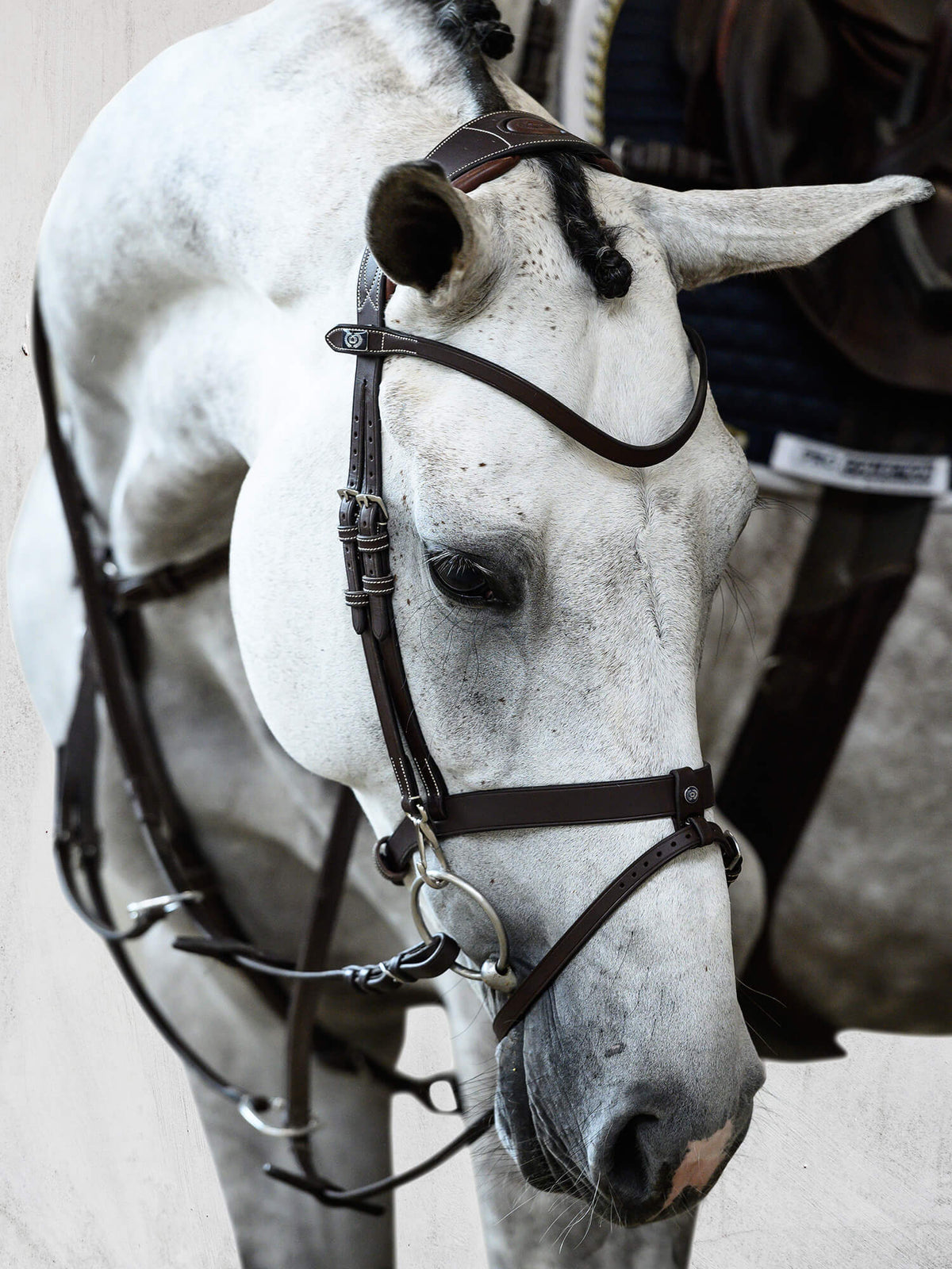 Bridle London Black Leather