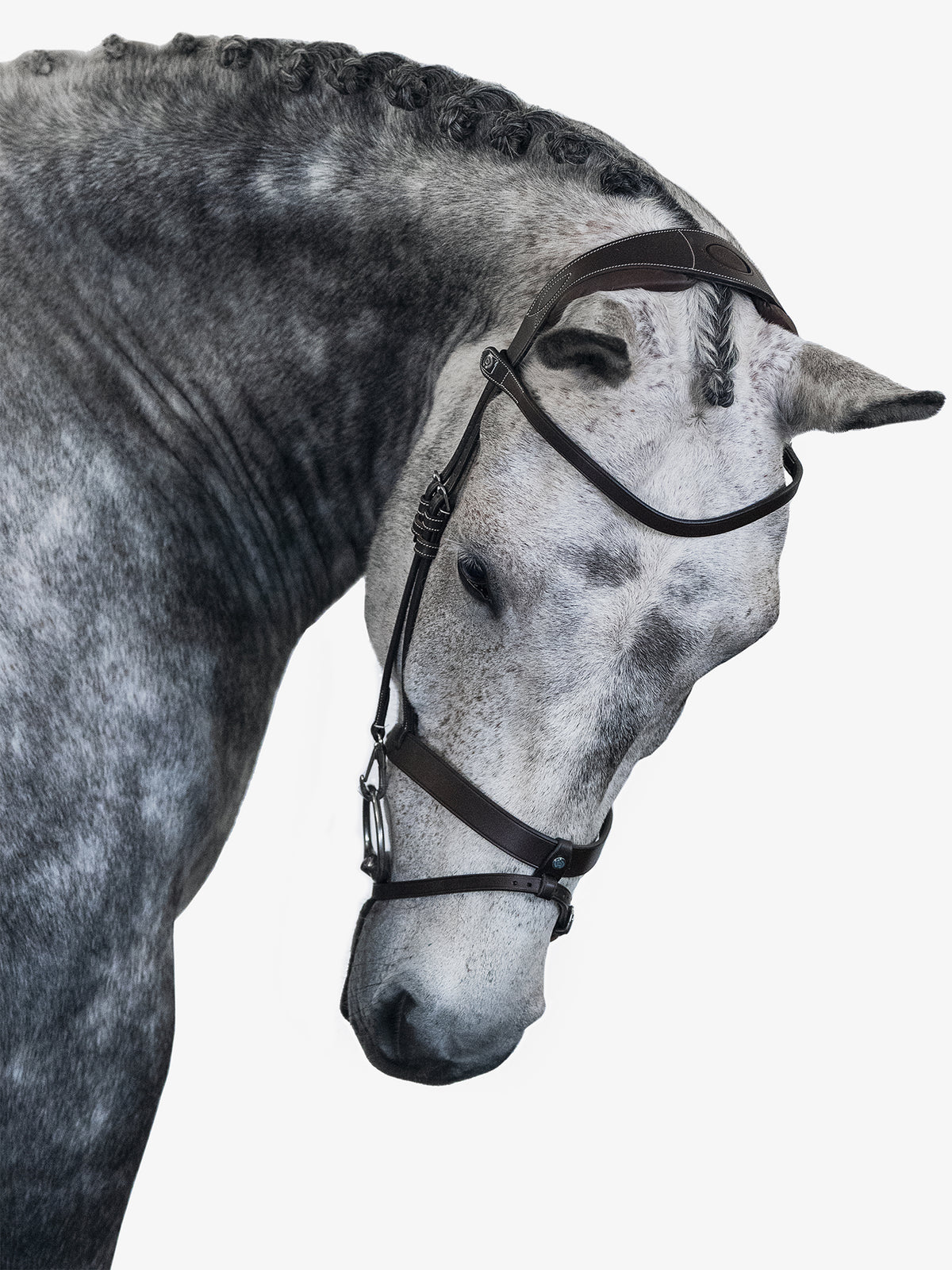 Bridle London Brown Leather