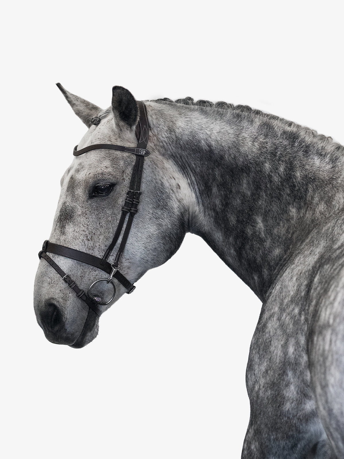Bridle London Brown Leather