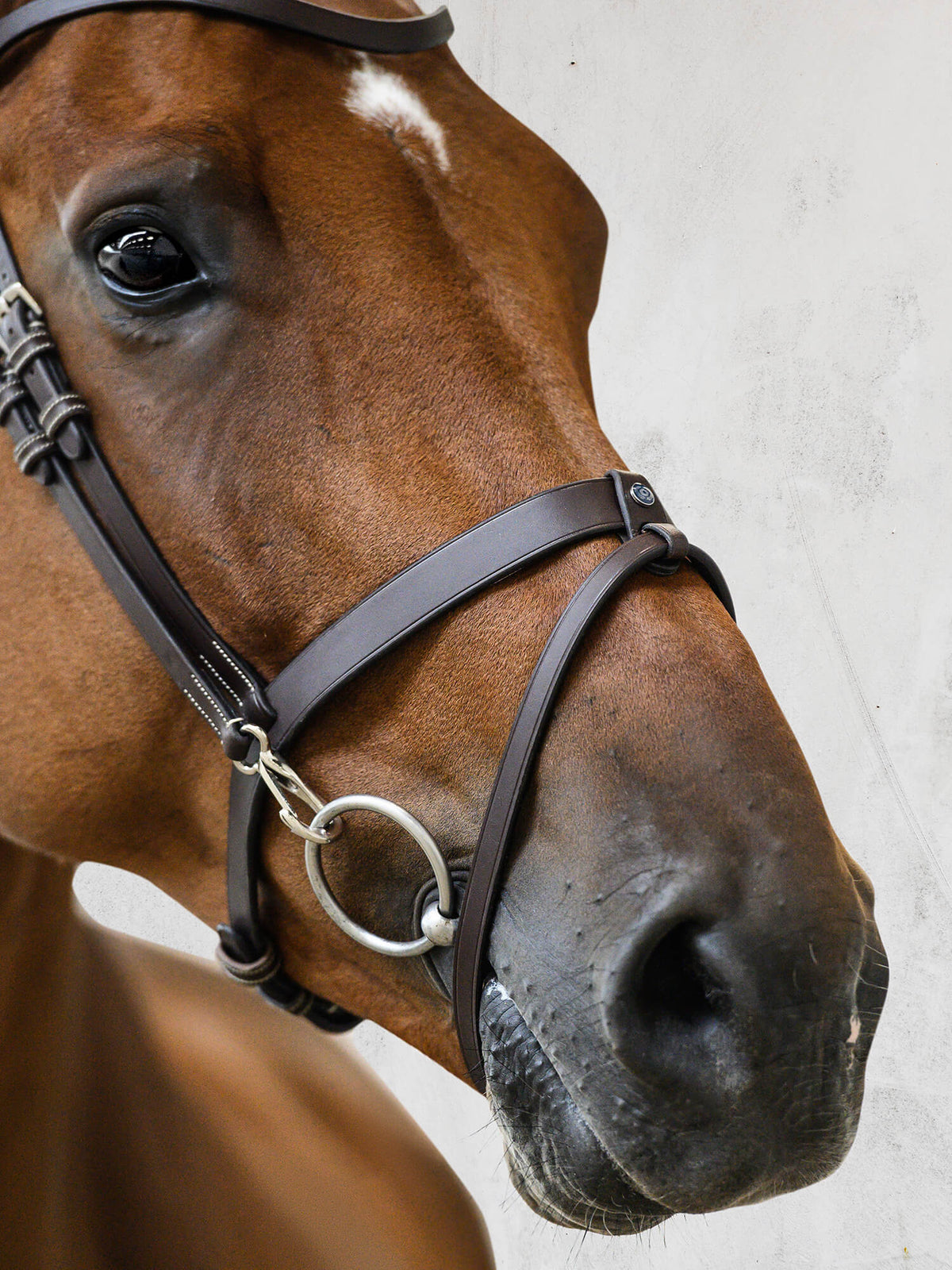 Bridle London Black Leather