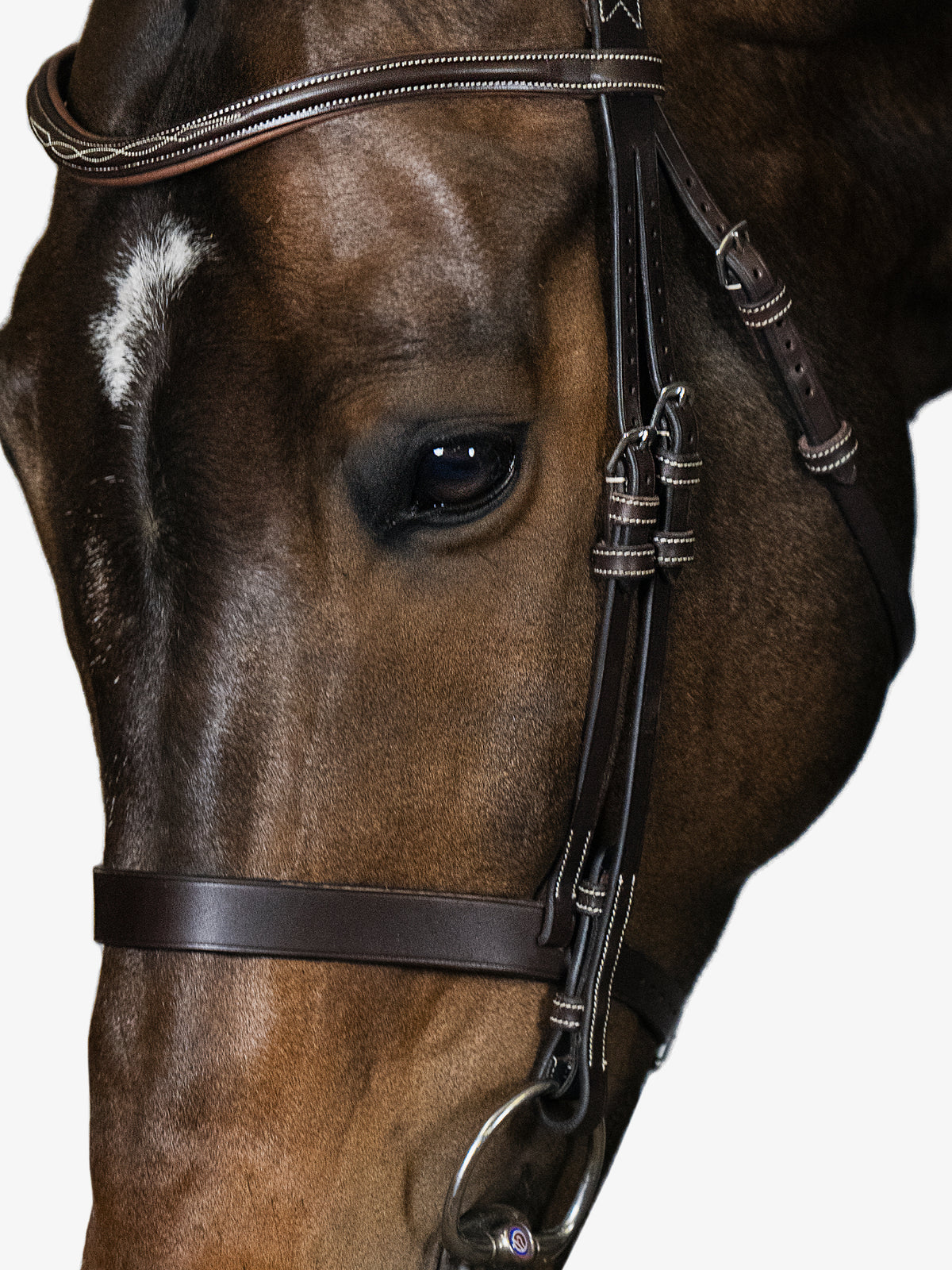 Bridle Wellington Brown Leather