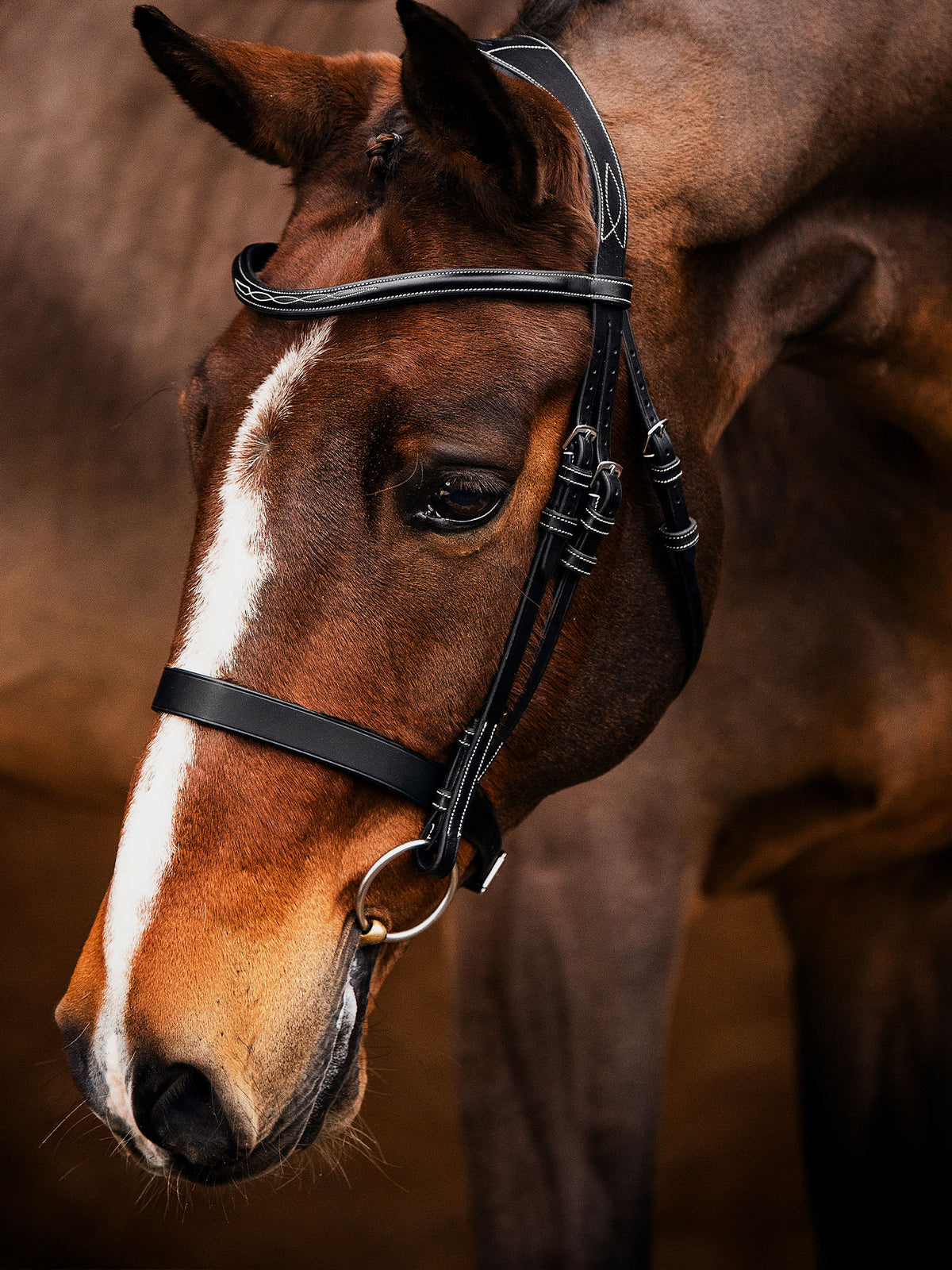 Bridle Wellington Black Leather