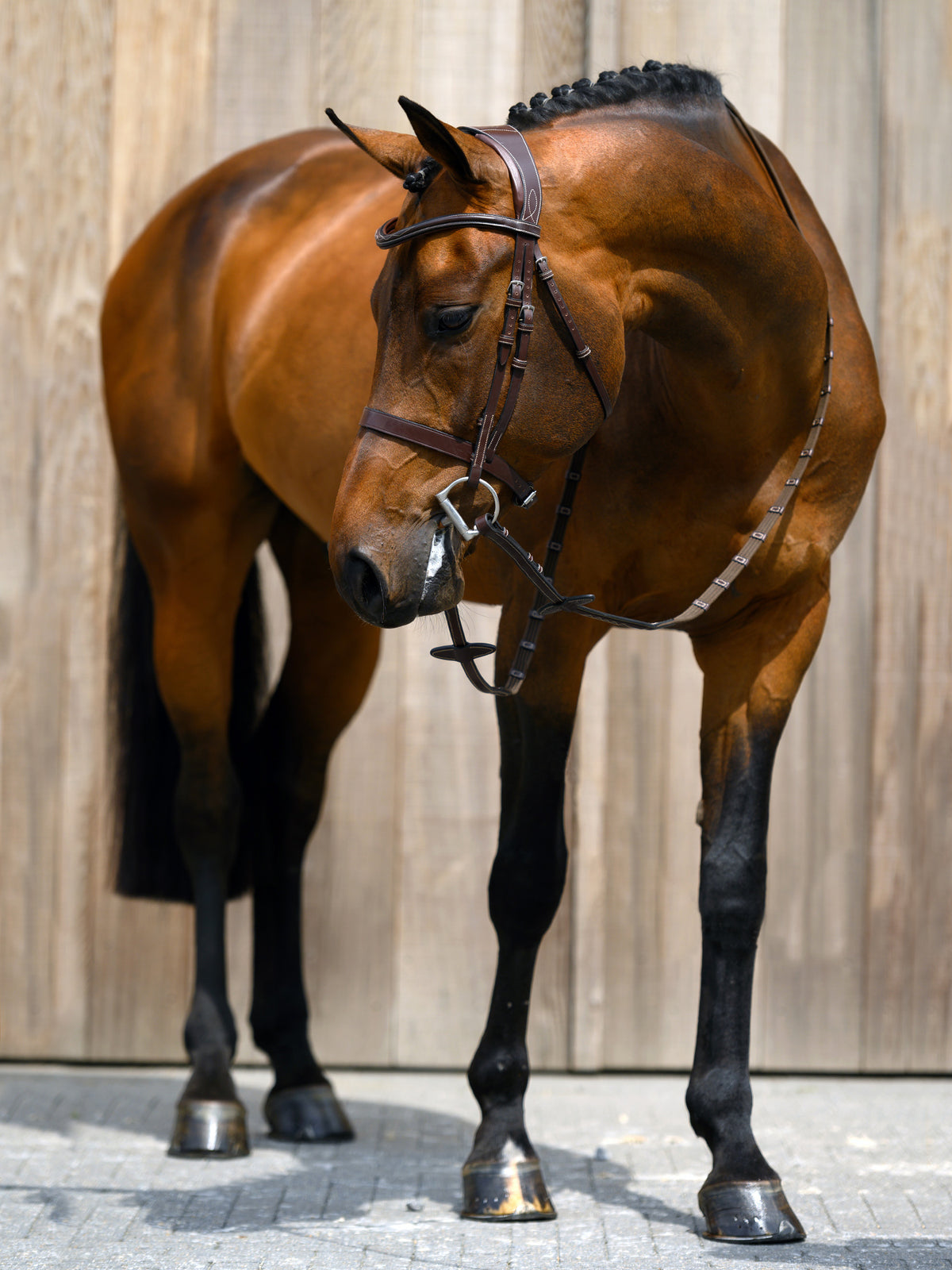 Bridle Wellington Brown Leather