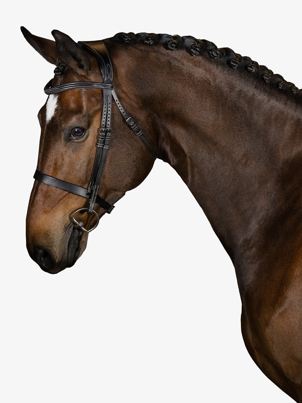 Bridle Wellington Black Leather