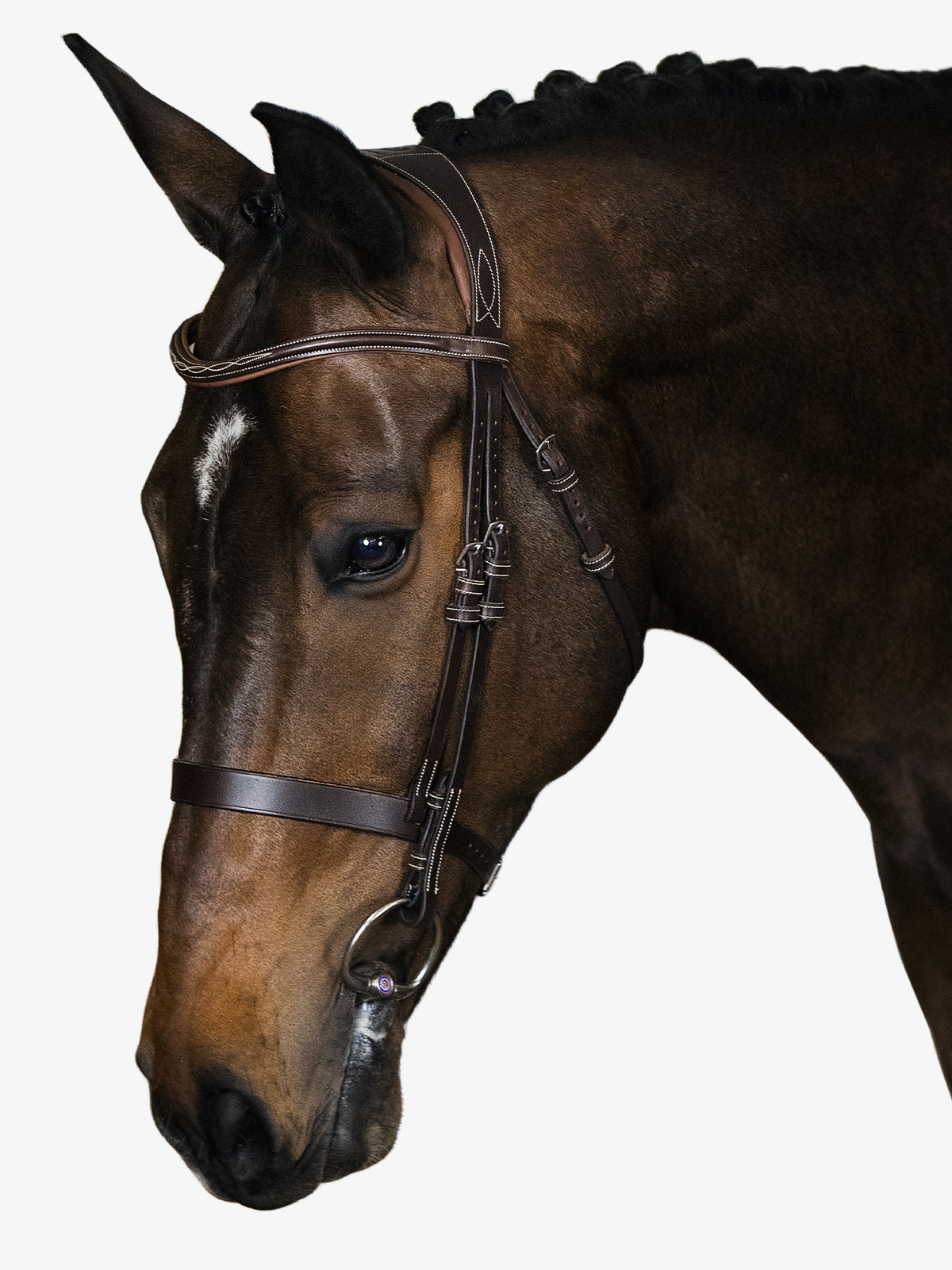 Bridle Wellington Brown Leather