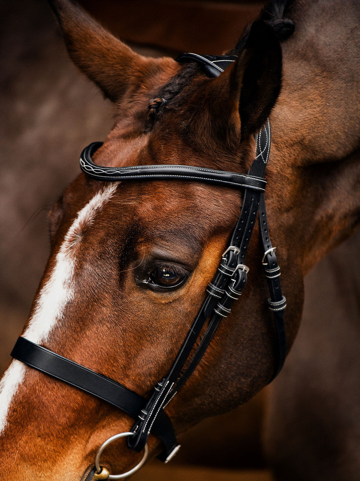 Bridle Wellington Black Leather