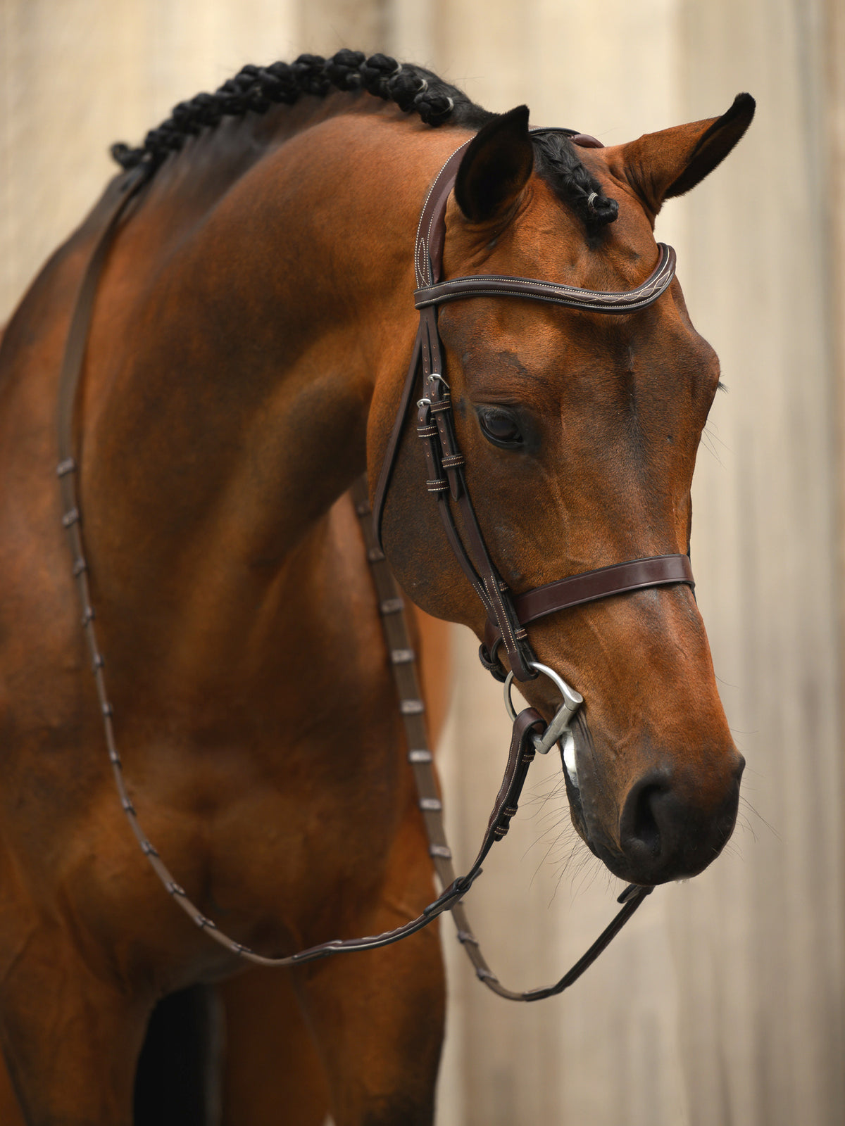 Bridle Wellington Brown Leather