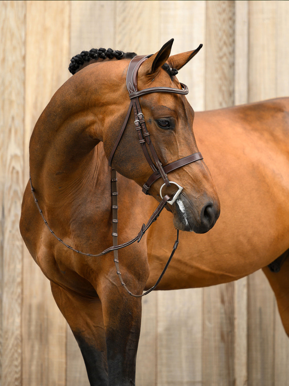 Bridle Wellington Brown Leather
