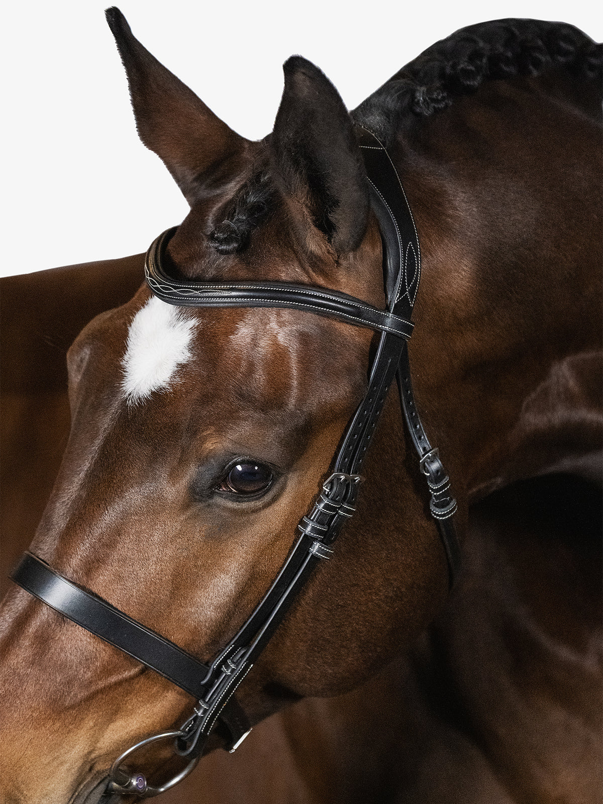 Bridle Wellington Black Leather