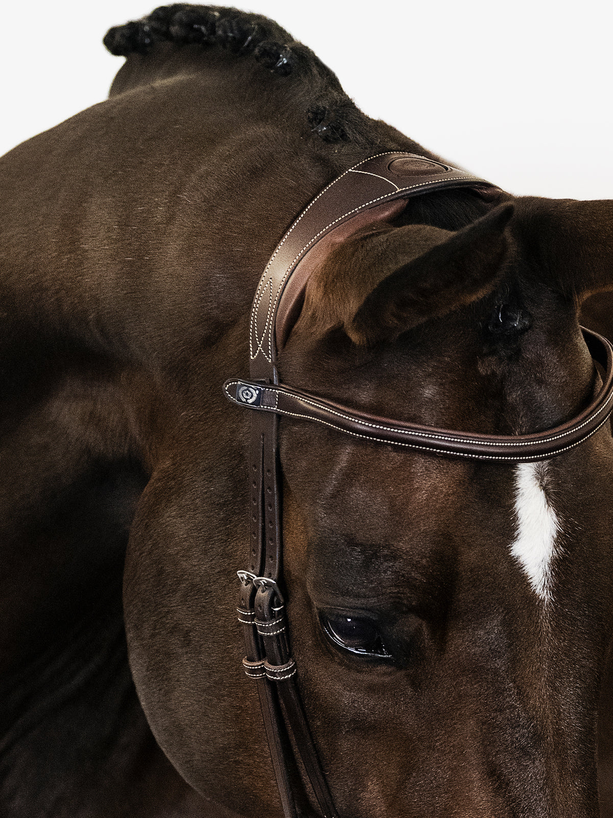 Bridle Paris Brown Leather