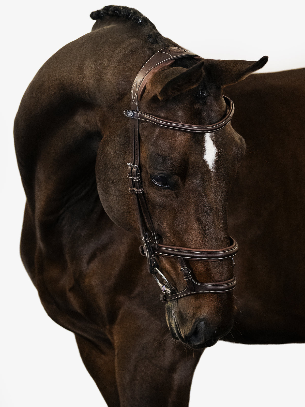 Bridle Paris Brown Leather