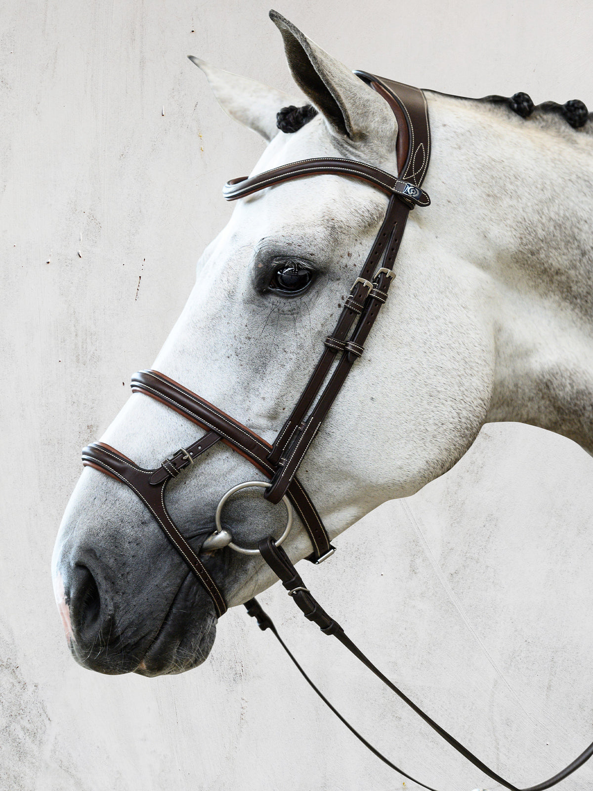 Bridle Paris Brown Leather