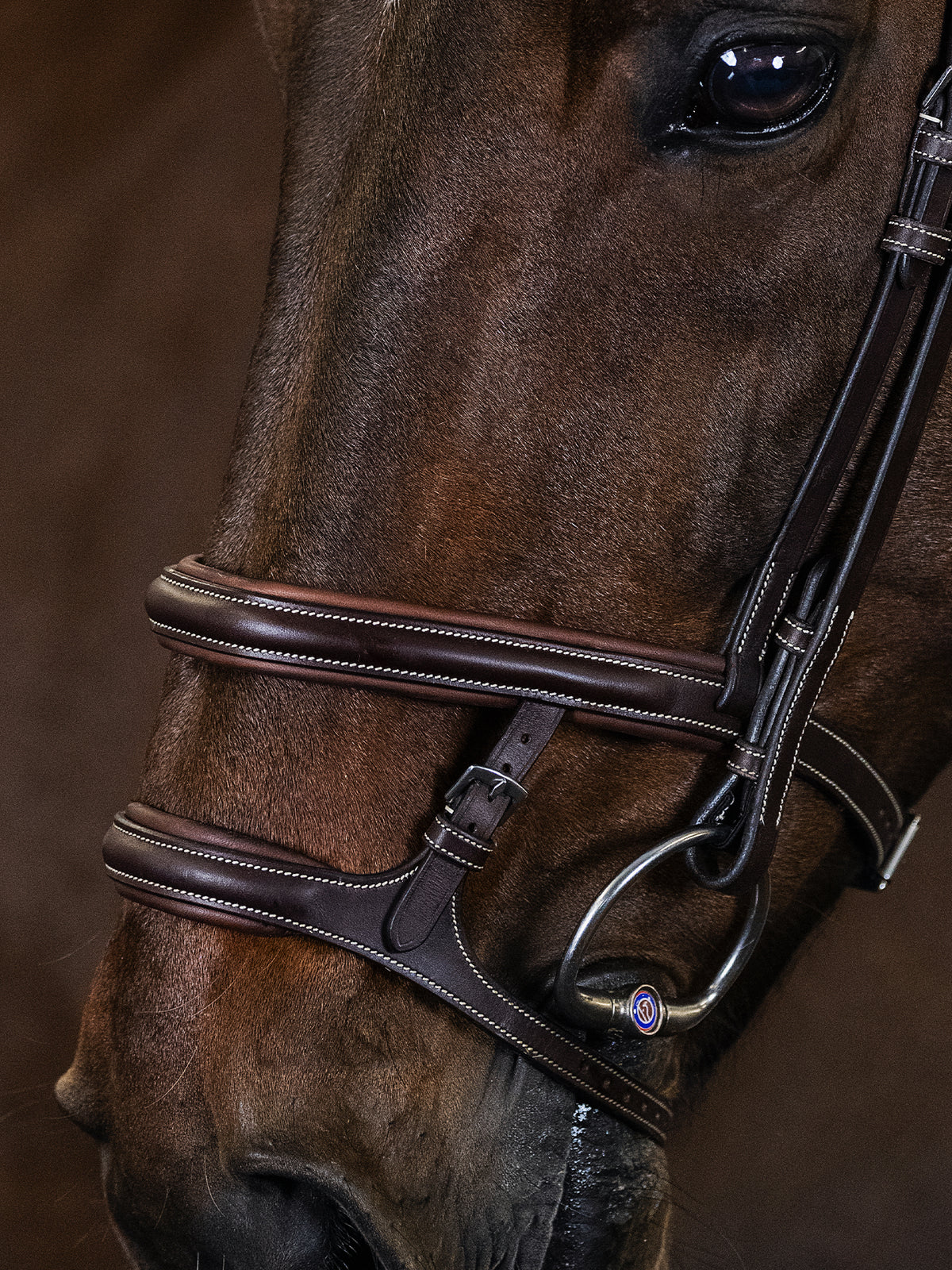 Bridle Paris Brown Leather