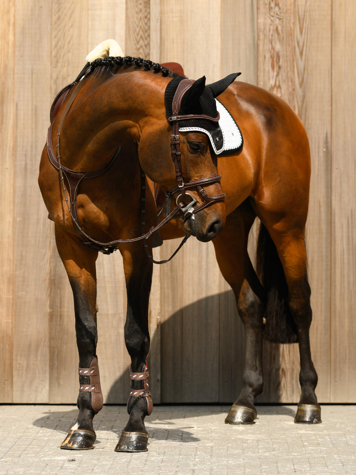 Bridle Paris Brown Leather