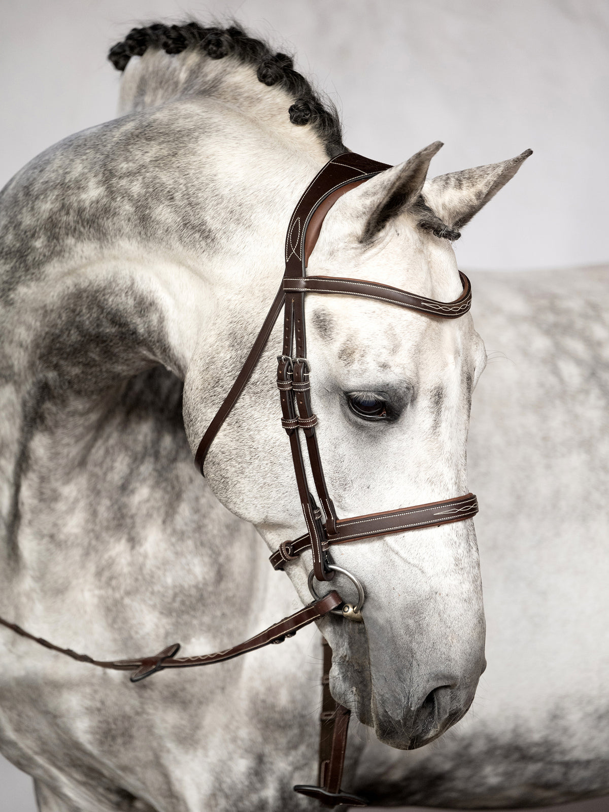 Bridle Ocala Brown Leather