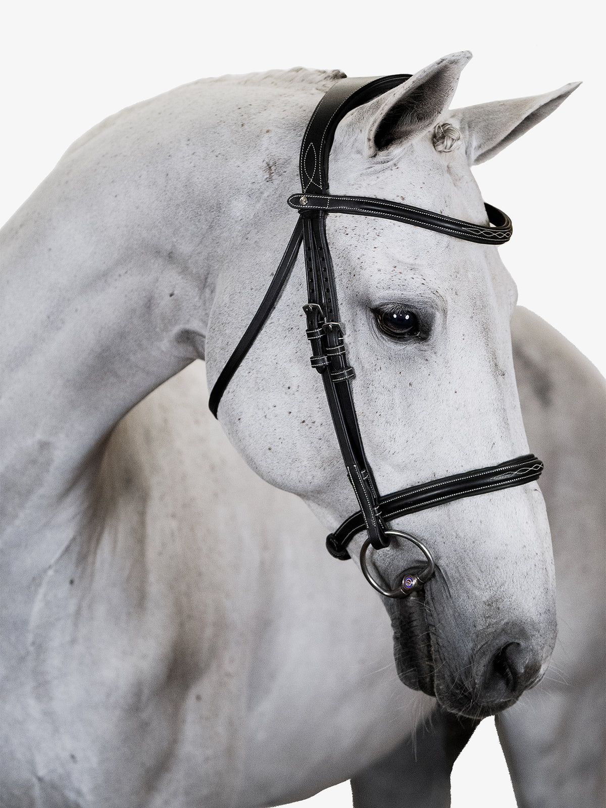 Bridle Ocala Black Leather
