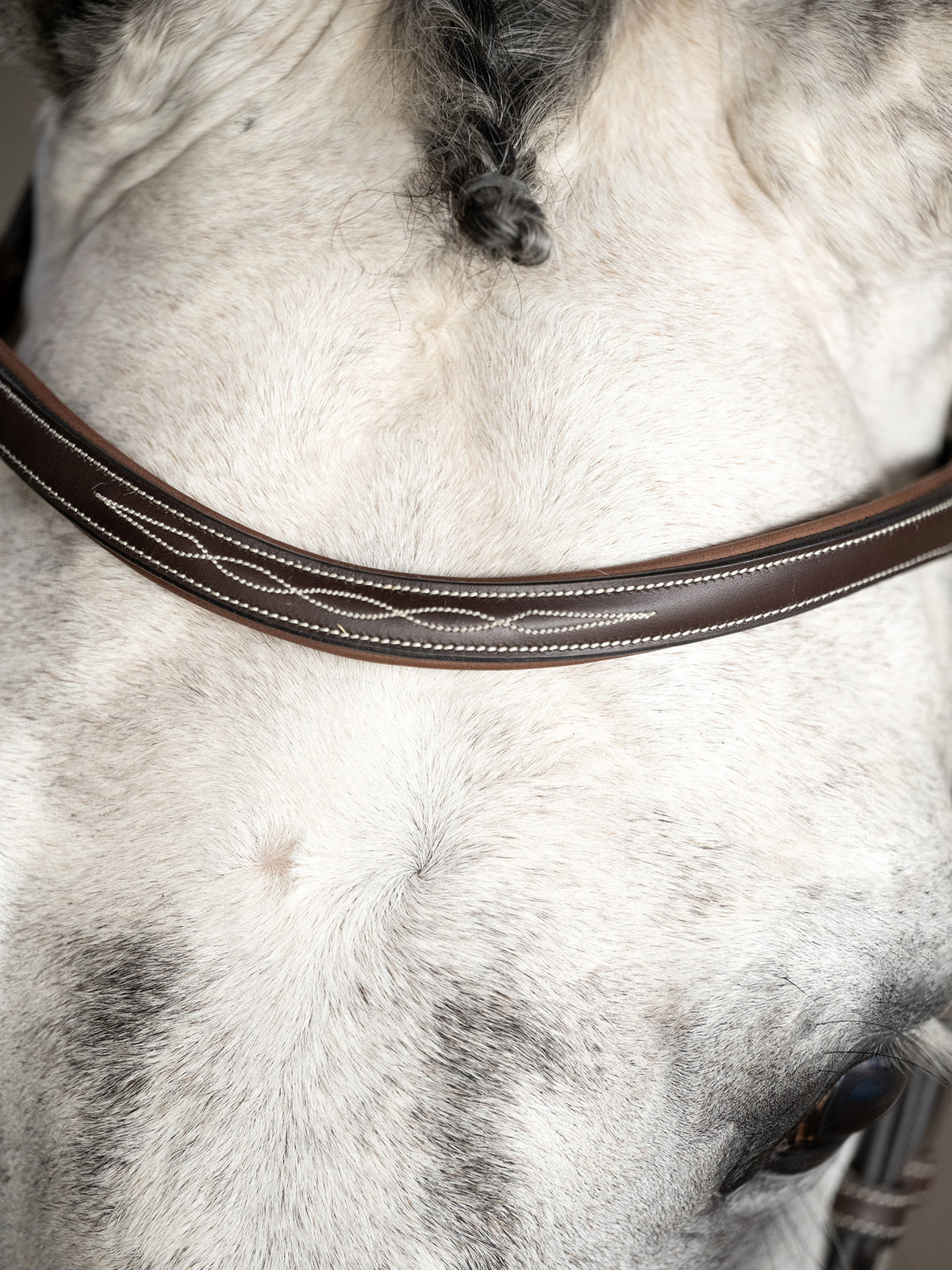 Bridle Ocala Brown Leather