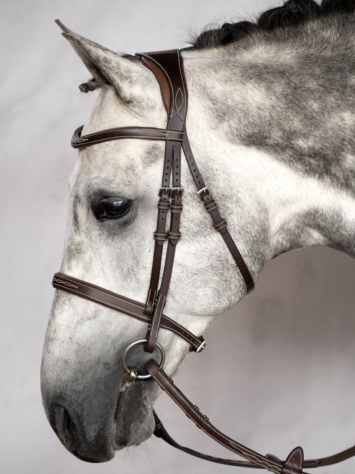 Bridle Ocala Brown Leather