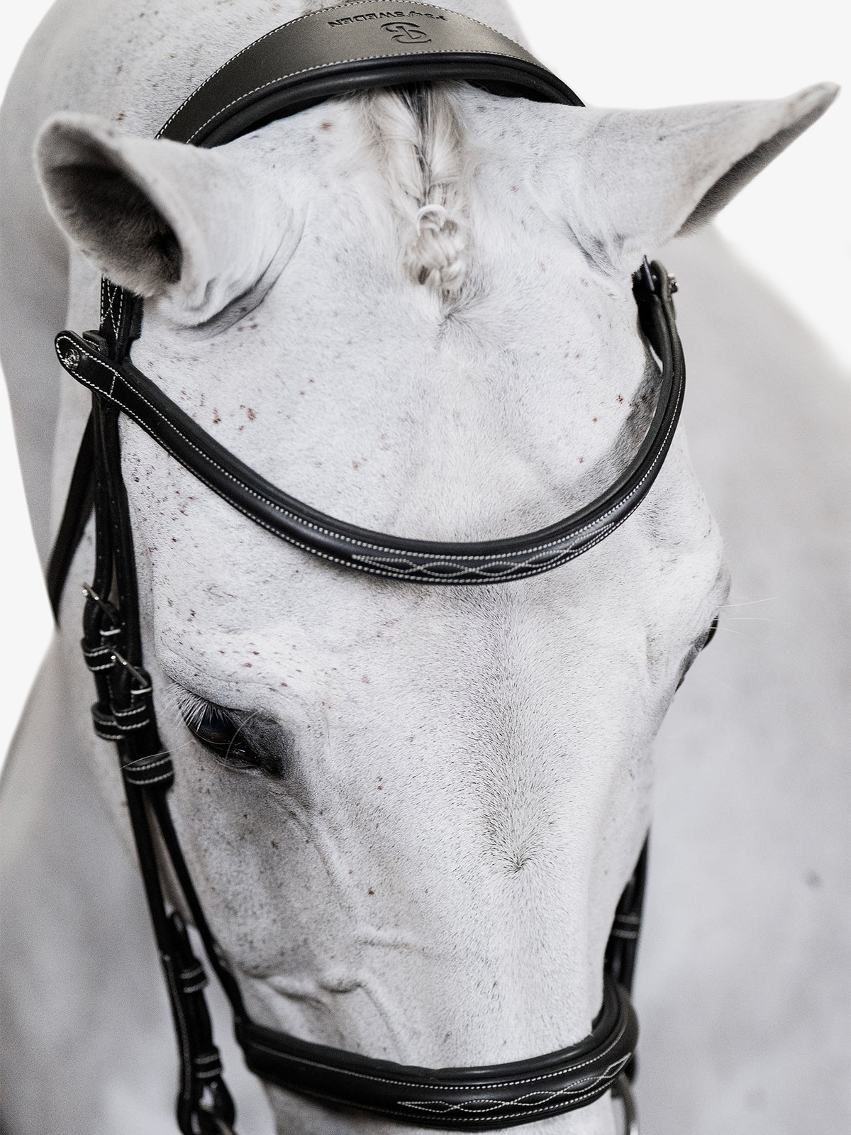 Bridle Ocala Black Leather
