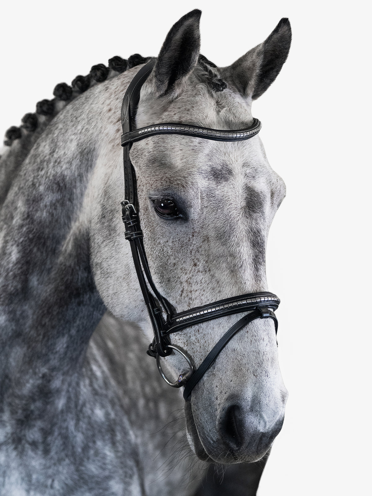 Bridle Amsterdam 2.0 Black Leather