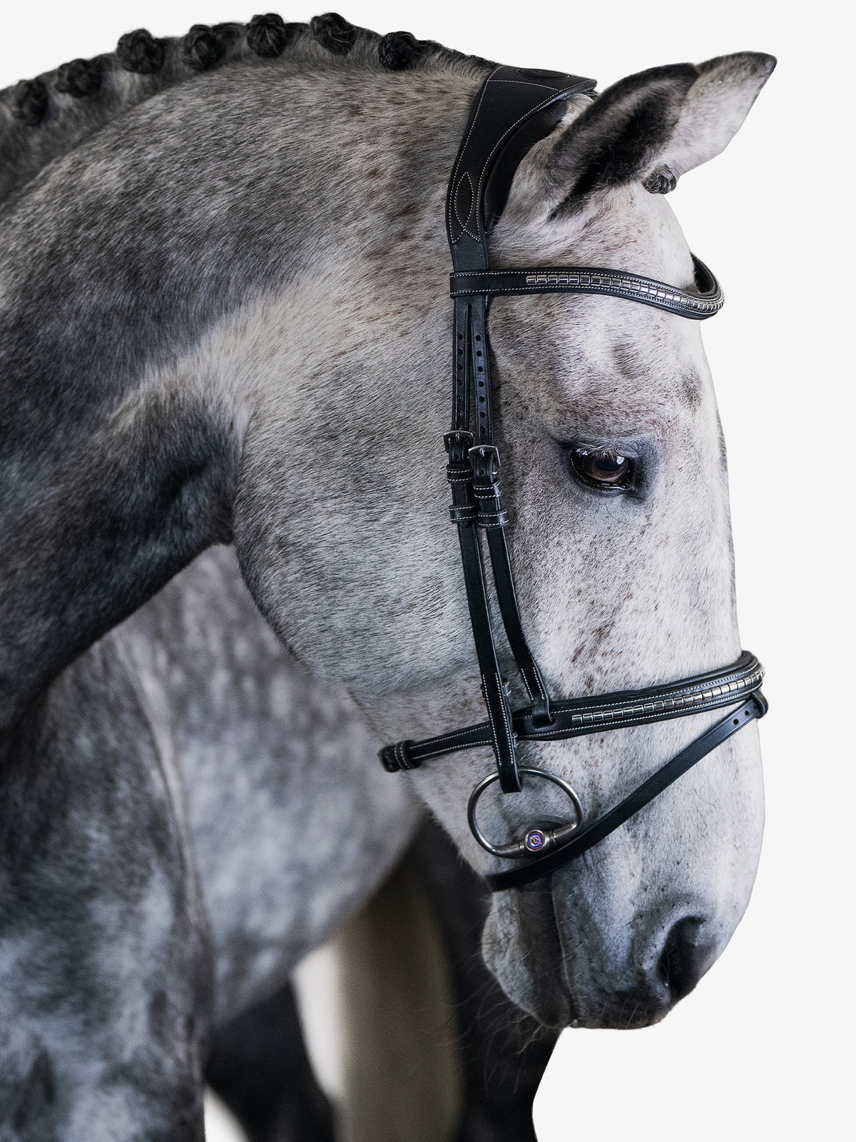 Bridle Amsterdam 2.0 - Black Leather