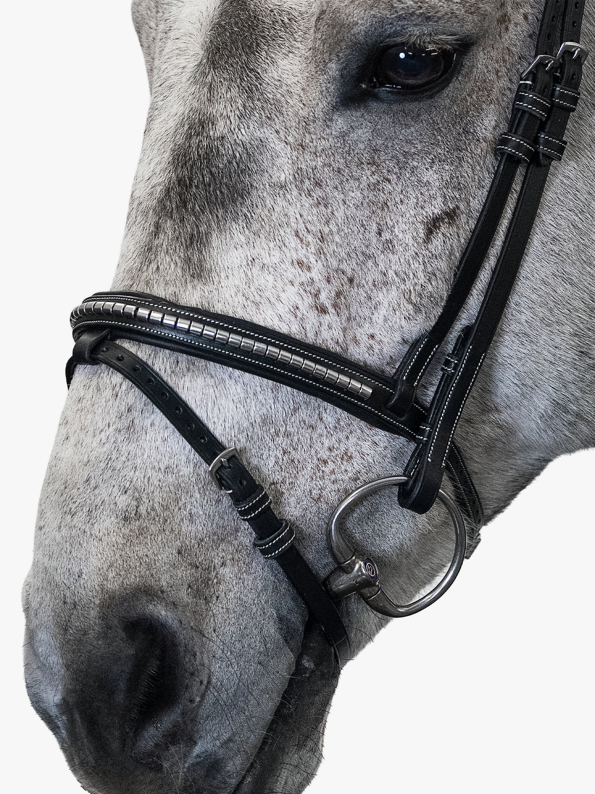 Bridle Amsterdam 2.0 Black Leather