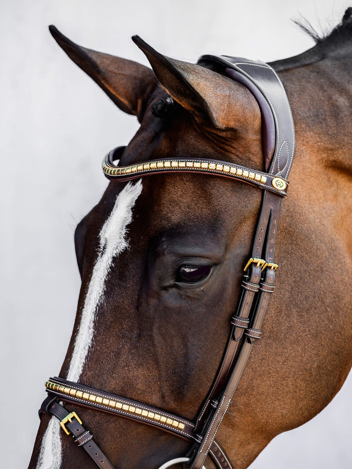 Bridle Antwerp 2.0 Brown Leather