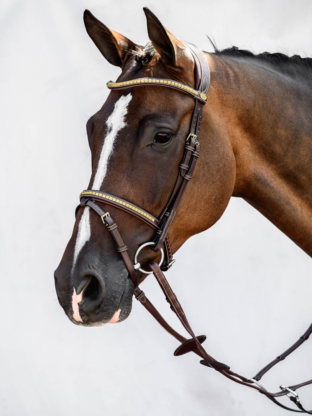 Bridle Antwerp 2.0 Brown Leather