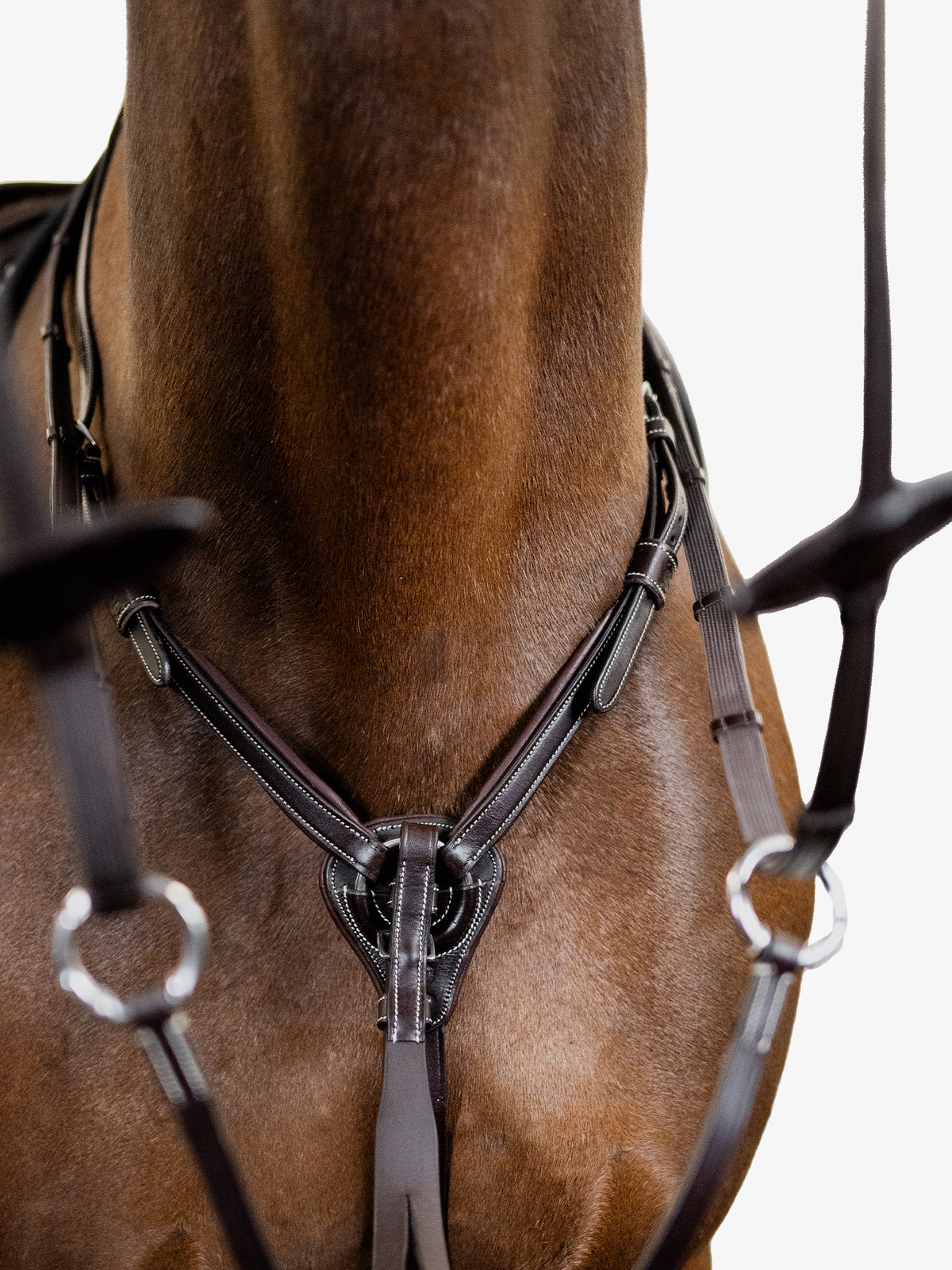 Martingale Seoul Brown Leather